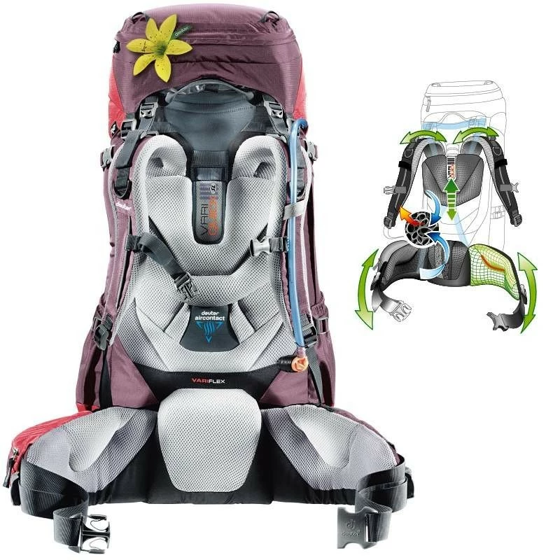 Sac à Dos Deuter Aircontact 60+10 SL Aubergine Cranberry – Image 2